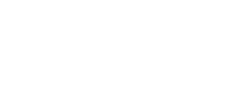 Y.Chroma Apparel Global