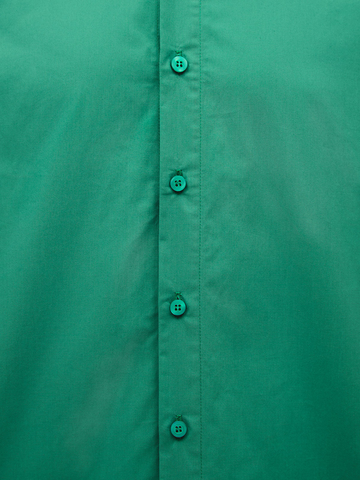 British Green
