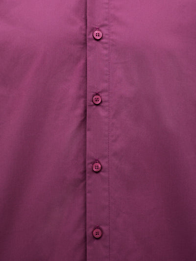 Italian Plum