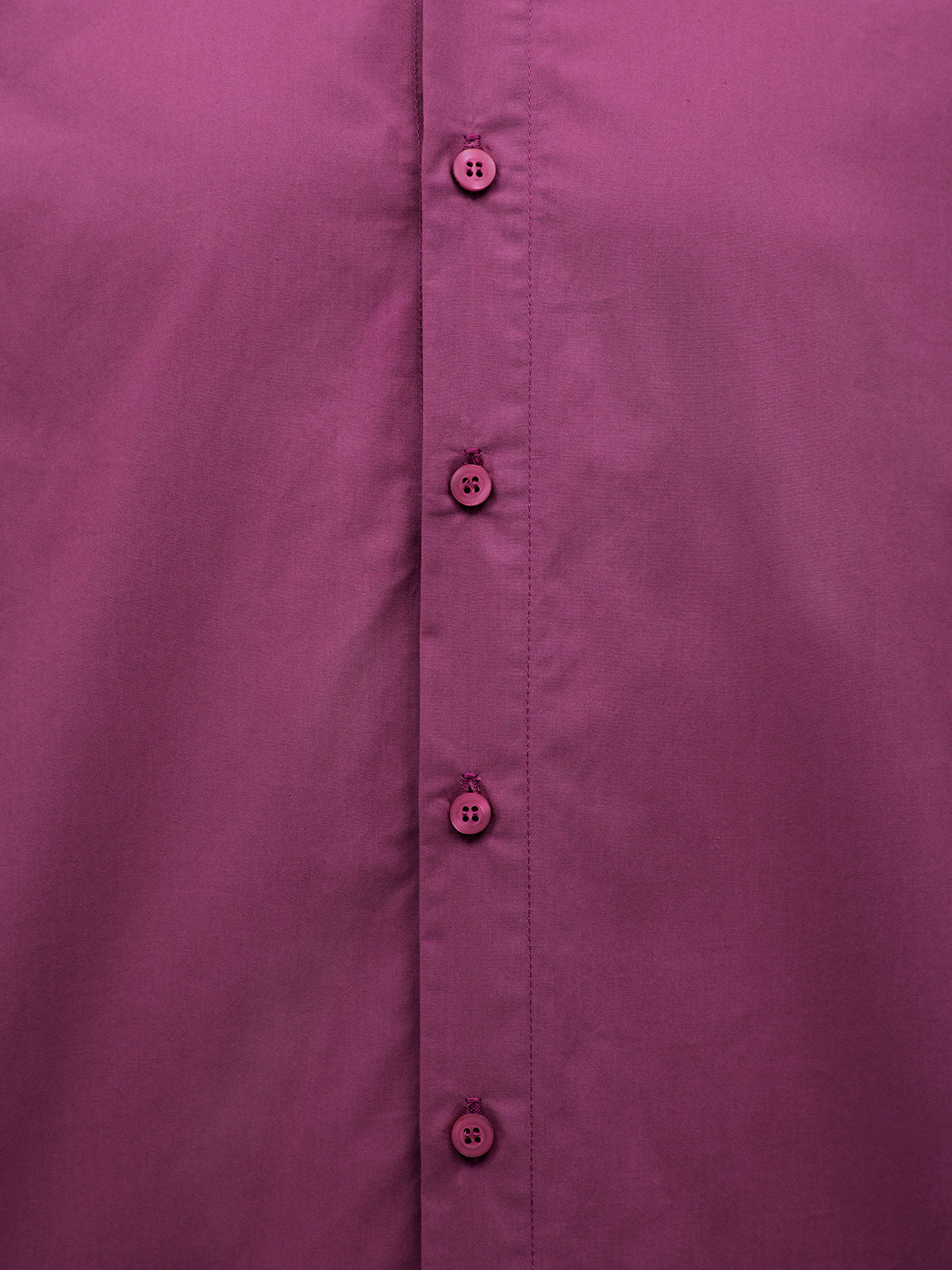 Italian Plum