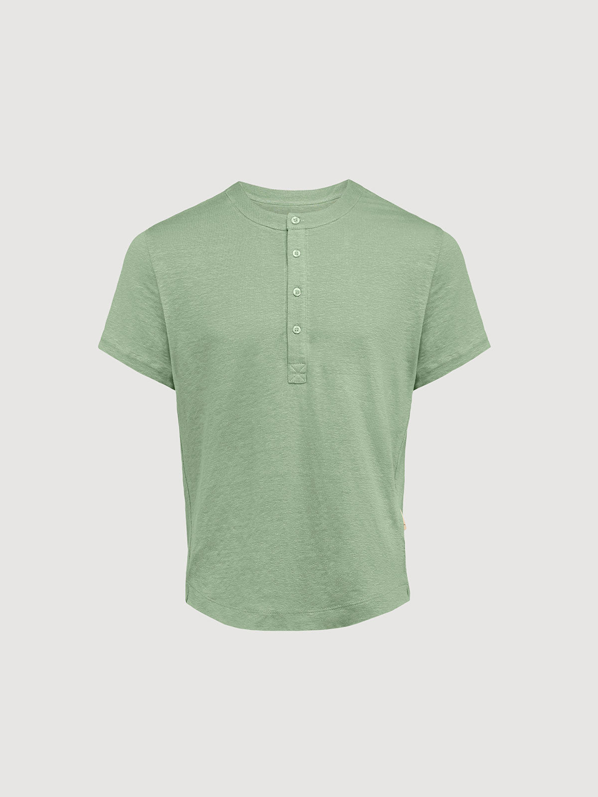 Basil / SM (Short)