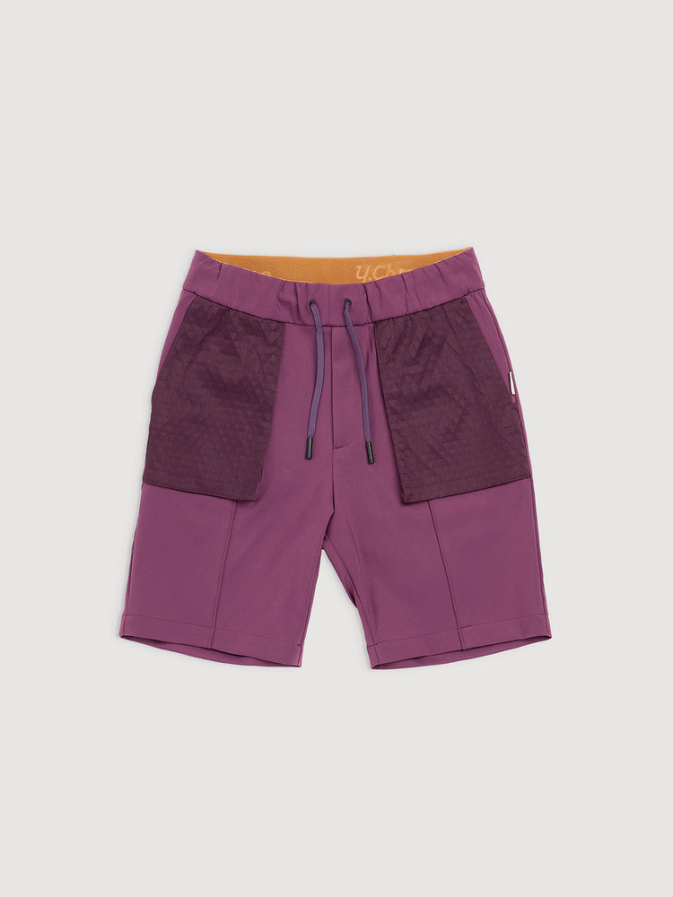 Italian Plum