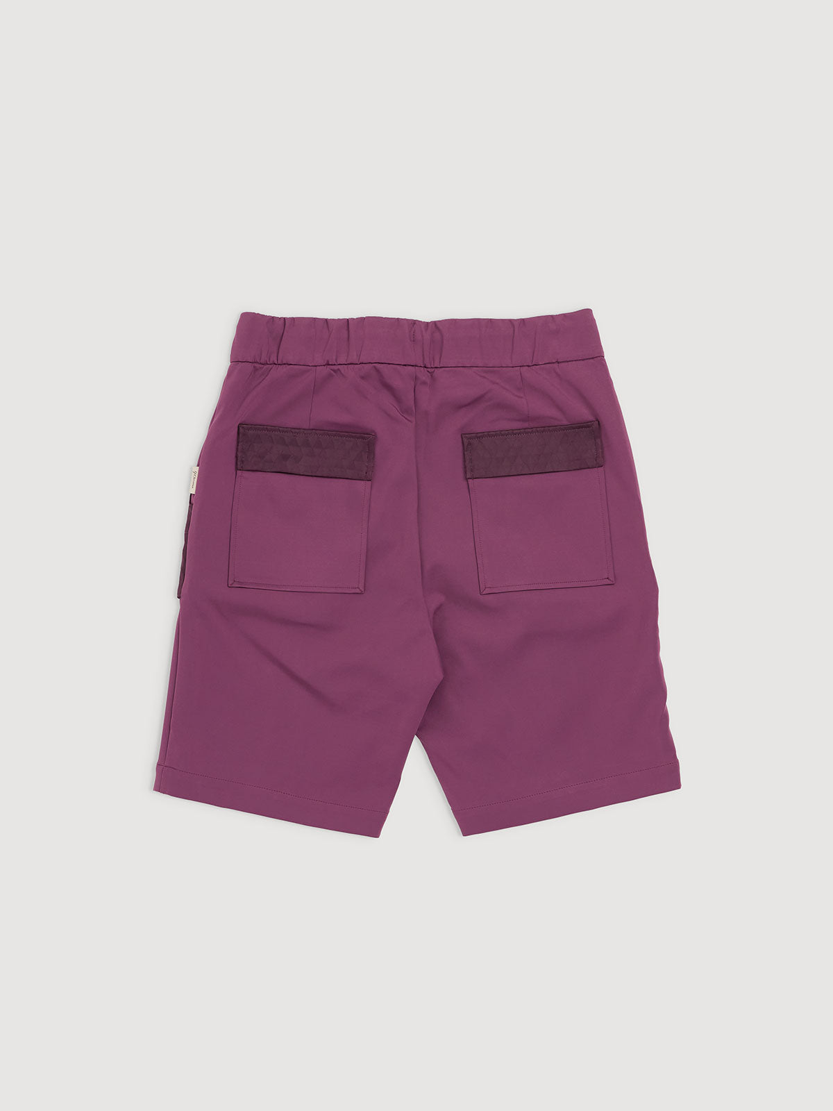 Italian Plum
